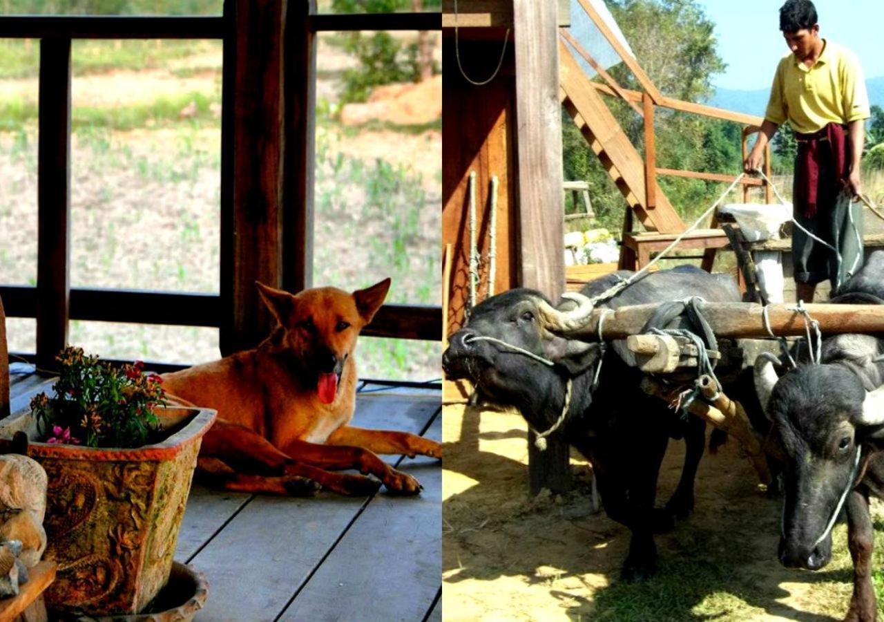 Shanta Ghar A Rustic Guesthouse 치트완 외부 사진